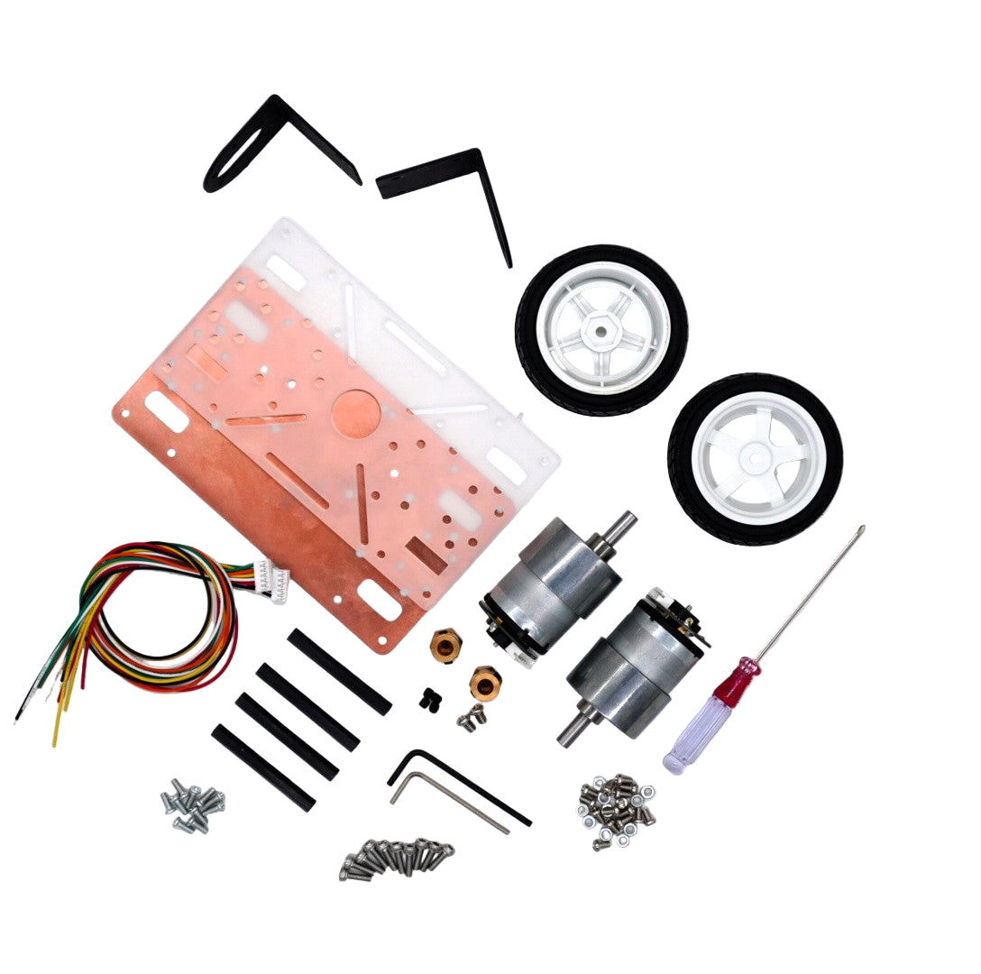 Self-Balancing Robot Body Kit with Wheels, Dual Motors & Chassis