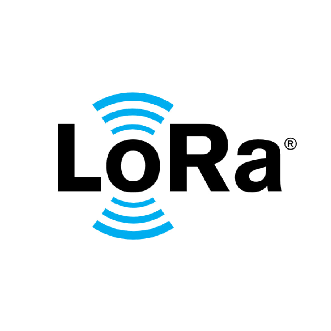 LORA MODULES