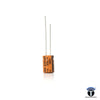 KELTRON 22 uF/100 V Radial Electrolytic Capacitor