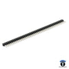 40x1 MALE BERG STRIP STRAIGHT